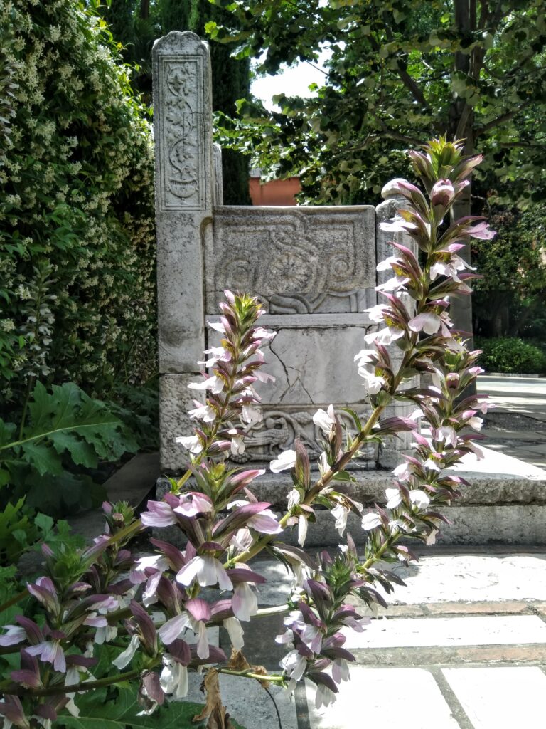 Giardino Guggenheim